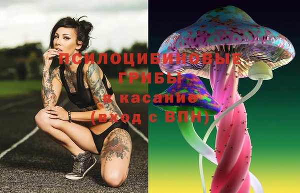 ГАЛЛЮЦИНОГЕННЫЕ ГРИБЫ Баксан