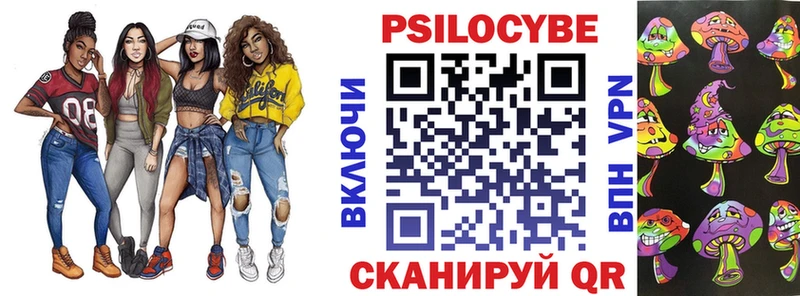 Псилоцибиновые грибы Psilocybe  закладки  Бикин 